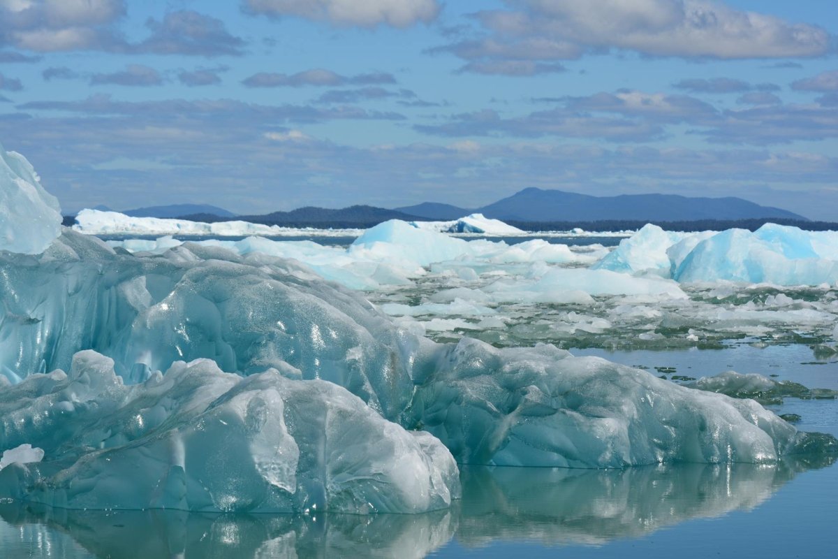 Arktis - Chiemseegarn