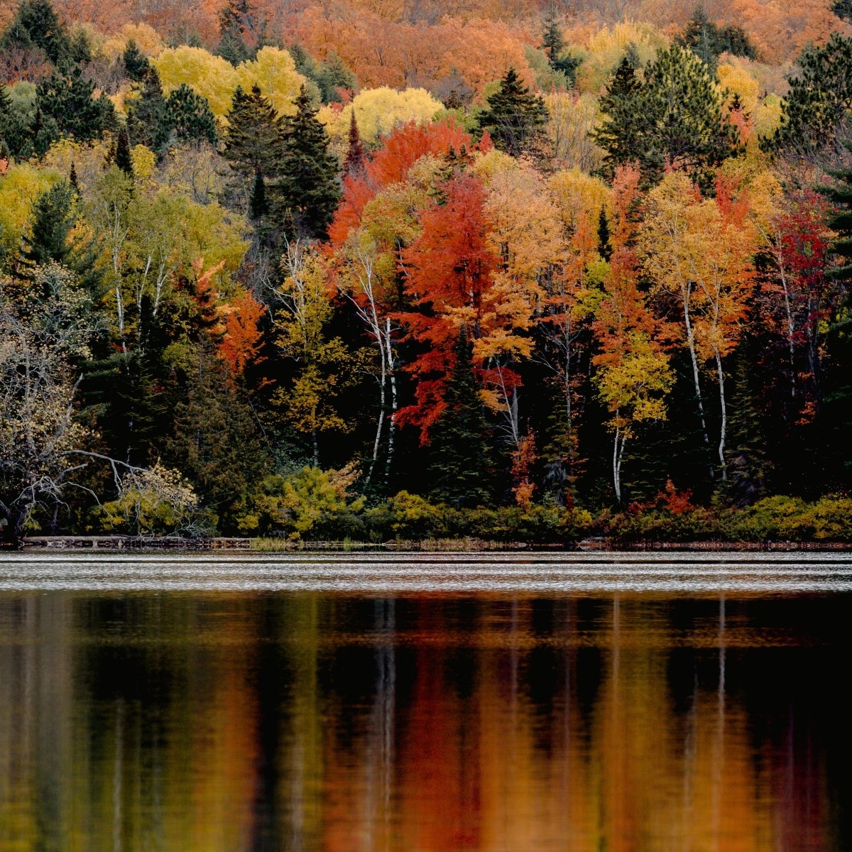 Kanada - Chiemseegarn